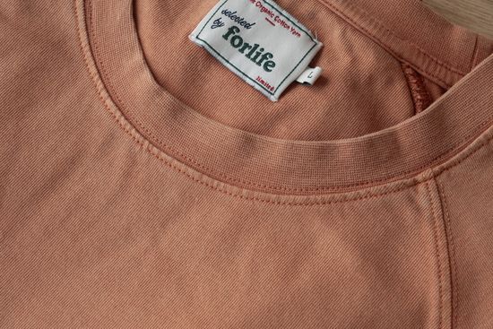 main_slideshow | color_Orange délavé